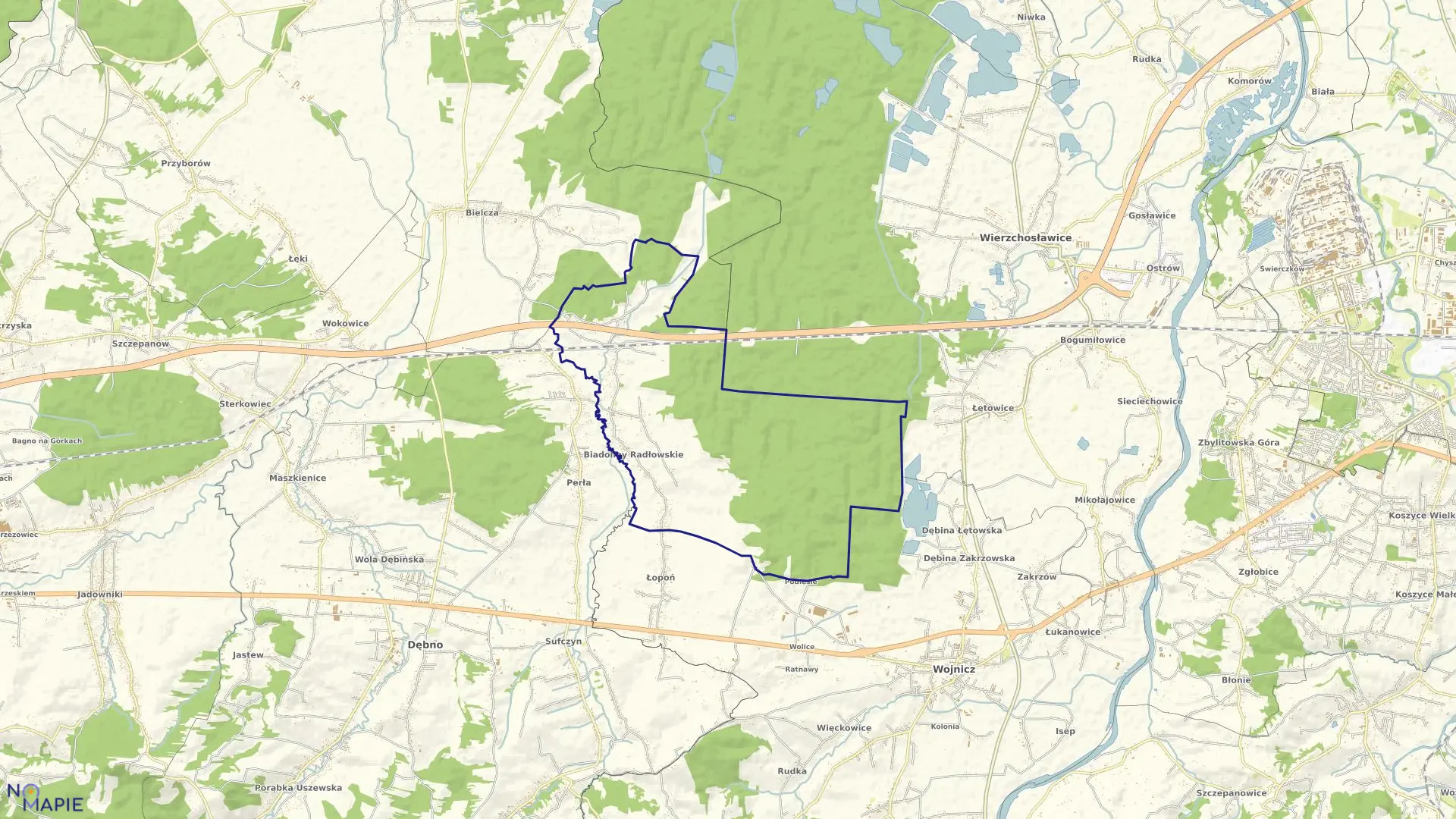 Mapa obrębu Biadoliny Radłowskie w gminie Wojnicz